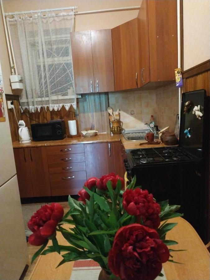 Apartment In The Center Of Old Town Kamianets-Podilskyi Εξωτερικό φωτογραφία